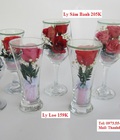 Hình ảnh: Hoa hồng bất tử, hoa thật