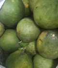 Hình ảnh: Phân phối sỉ lẻ bưởi Tiền Giang