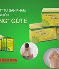 Hình ảnh: Lá Nương Gúte thần dược dân tộc Tày, khắc tinh của bệnh Gout