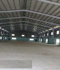 Hình ảnh: Xưởng 3005m2 cho thuê tại KCN Tân Trường, Cẩm Giang, Hải Dương