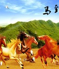 Hình ảnh: tranh ngựa 3d