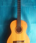 Hình ảnh: Jose Antonio guitar 6C, 8C, 12C và 12F Tây Ban Nha