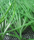 Hình ảnh: Cỏ nhân tạo sân bóng
