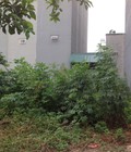 Hình ảnh: Cần bán gấp lô đất đẹp, giá rẻ, vị trí đẹp. DT 65m2. 2 mặt thoáng giá chỉ 35tr/m2.