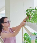 Hình ảnh: Mô hình trồng cây thích hợp nhất cho ban công nhà phố