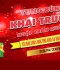 Hình ảnh: Trung tâm ngoại ngữ Tomato Hải Phòng chất lượng, giáo viên giỏi