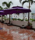 Hình ảnh: dù cafe thanh lý rẻ 