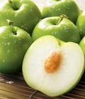 Hình ảnh: Chuyên cung cấp giống cây táo T5, cây táo ta, chuẩn giống, giá tốt, giao cây toàn quốc