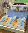 Hình ảnh: Ga chun + 2 vỏ gối nằm cây cọ