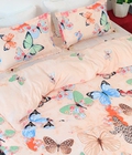 Hình ảnh: Ga chun + 2 vỏ gối nằm bươm bướm