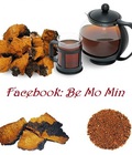 Hình ảnh: Nấm Chaga Thần dược nước Nga trị tiểu đường, huyết áp cao, chống ung thư, chống lão hóa,...