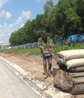 Hình ảnh: Bán đất tại Dự án Bình Sơn Riverside, Long Thành, Đồng Nai diện tích 100m2 giá 215 Triệu