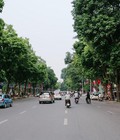 Hình ảnh: Cho thuê nhà mặt phố Nhà Chung vs Quang Trung