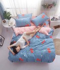 Hình ảnh: Bộ chăn ga gối Muji
