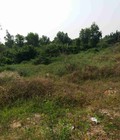 Hình ảnh: Cần bán gấp 5000m2 đất ruộng đường 6m Nguyễn Văn Tạo, đất ruộng Ngang 30m giá 4 tỷ
