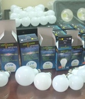 Hình ảnh: bóng đèn led 3w,5w,7w,12w,9w,15w