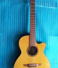 Hình ảnh: Takamine guitar sản xuất tại Nhật