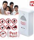 Hình ảnh: Thiết bị đuổi các loại chuột ra khỏi nhà an toàn hiệu quả nhất,máy đuổi muỗi kiến rán Pest Reject