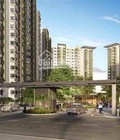 Hình ảnh: Khu căn hộ cao cấp Emerald Celadon City,Tặng 100tr, Ck 10%, TT 10% ký hợp đồng.