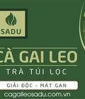 Hình ảnh: Bí quyết điều trị, hỗ trợ giảm tỷ lệ viêm gan B nhờ Cà Gai Leo