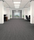 Hình ảnh: Cho thuê văn phòng phố Trần Thái Tông.Q Cầu Giấy 200 300m2 giá rẻ