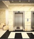 Hình ảnh: Công ty thang máy Mai Tâm chuyên cung cấp lắp đặt thang máy chính hãng