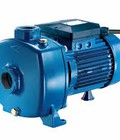 Hình ảnh: Máy bơm nước dân dụng MB200, Cab200, mb300