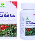 Hình ảnh: Bảo vệ gan cà gai leo Bảo vệ gan, giúp hạ men gan