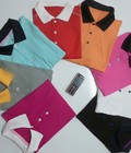 Hình ảnh: Áo thun Polo