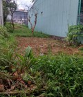 Hình ảnh: Đất thổ cư đường Tỉnh Lộ 10, dt: 4x12m, khu toàn nhà tầng.