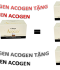 Hình ảnh: Mua 2 hộp collagen Acogen Tặng 1 hộp collagen Acogen