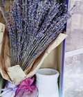 Hình ảnh: Hộp Hoa Lavender cao cấp kèm túi thơm 330 cành