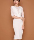 Hình ảnh: Đầm body phối ren TL