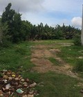 Hình ảnh: Đất mặt tiền Nguyễn Văn Tạo Giá rẻ, 2090m2 đất mặt bằng kinh doanh Nhà Bè giá 5,4tr/m2
