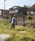 Hình ảnh: Nhận lăn sơn nhà ở gia đình