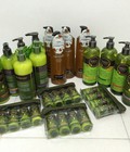 Hình ảnh: Bộ sản phẩm Oganic Trio Oil Chăm sóc tóc Sữa tắm nhập khẩu