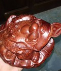 Hình ảnh: Cóc ngậm tiền gỗ hương