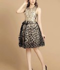 Hình ảnh: Đầm xoè ren công chúa SN