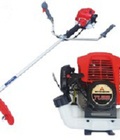 Hình ảnh: nhà phân phối máy cắt cỏ mitsubishi TU33