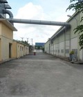 Hình ảnh: Chính chủ có nhà xưởng cho thuê tại KCN Thanh Oai, Hà Nội