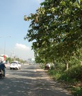 Hình ảnh: Đất Xây Trọ Cần Bán Gấp Đường Tĩnh lộ 10, TRần Văn Giàu.