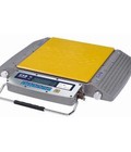 Hình ảnh: Cân xe tải xách tay RW 10S, cân ô tô tải trọng 10 tấn Cas Hàn Quốc