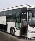 Hình ảnh: Bán 5 xe khách 41giường nằm BX212DS, chính hãng Daewoo, Nhiều màu. Sẵn có. Giao ngay