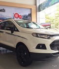 Hình ảnh: Bán Ford Ecosport 2018 Titanium đủ màu, Hỗ trợ ngân hàng 90 %