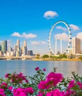 Hình ảnh: Du lịch Singapore Malaysia 6n5d giá chỉ 10 490 000vnd