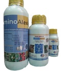 Hình ảnh: Phân bón lá AminoQuelant -Minors 500ml