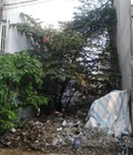 Hình ảnh: Cần bán gấp nền đất thổ cư, 8x20m, Chiến Lược và Tân Hòa Đông
