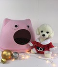 Hình ảnh: Áo NOEL size 4