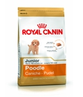 Hình ảnh: Royal Canin - Poodle junior túi 500g (dưới 10kg)