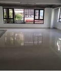 Hình ảnh: Cho thuê T1 2.S 220m2 mặt phố phan kế bình, ba đình.mt 7,2m.